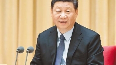 BOB�������ߡ�(�й�)����