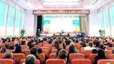 BOB�������ߡ�(�й�)����