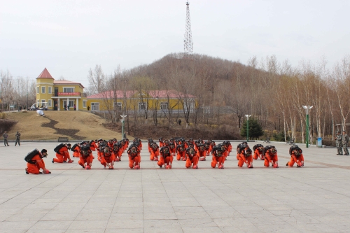 ��̨�ӹ�˾�Ȼ������������սǰ���  ������