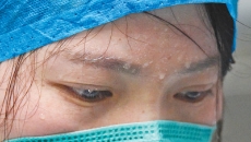 BOB�������ߡ�(�й�)����