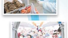 BOB�������ߡ�(�й�)����