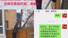 BOB�������ߡ�(�й�)����