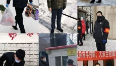 BOB�������ߡ�(�й�)����