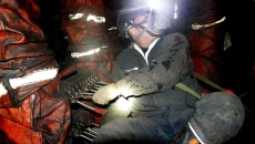 BOB�������ߡ�(�й�)����