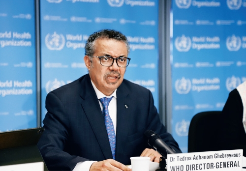 BOB�������ߡ�(�й�)����