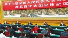 BOB�������ߡ�(�й�)����