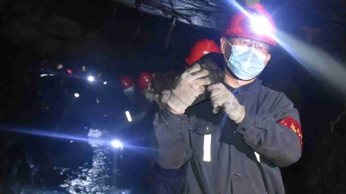 20200628  04  �½���  ͼΪ����ص�ԱЭ��������������֧���� ��̳���_����