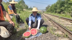 BOB�������ߡ�(�й�)����