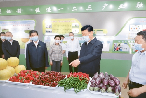 BOB�������ߡ�(�й�)����