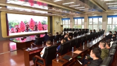 BOB�������ߡ�(�й�)����