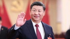 BOB�������ߡ�(�й�)����