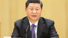 BOB�������ߡ�(�й�)����