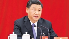 BOB�������ߡ�(�й�)����