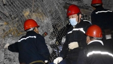 BOB�������ߡ�(�й�)����