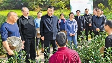 BOB�������ߡ�(�й�)����