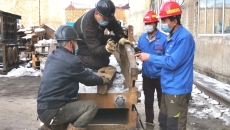 BOB�������ߡ�(�й�)����