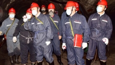 BOB�������ߡ�(�й�)����