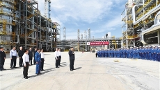 BOB�������ߡ�(�й�)����