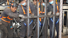 BOB�������ߡ�(�й�)����