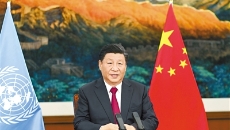 BOB�������ߡ�(�й�)����