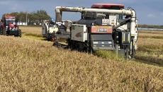 BOB�������ߡ�(�й�)����