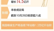 BOB�������ߡ�(�й�)����