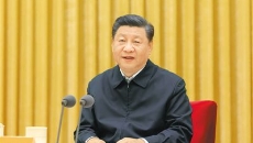 BOB�������ߡ�(�й�)����