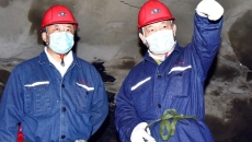 BOB�������ߡ�(�й�)����