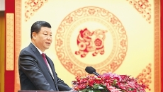 BOB�������ߡ�(�й�)����