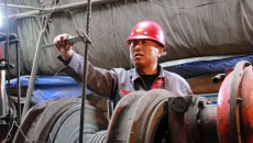 BOB�������ߡ�(�й�)����