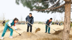 BOB�������ߡ�(�й�)����