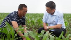 BOB�������ߡ�(�й�)����