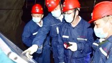 BOB�������ߡ�(�й�)����