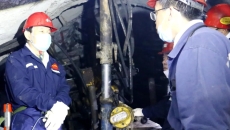 BOB�������ߡ�(�й�)����