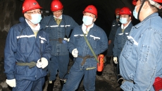 BOB�������ߡ�(�й�)����