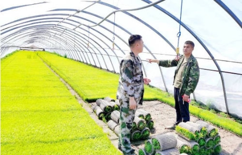 Snipaste_2023-01-09_18-05-33