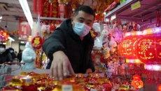 BOB�������ߡ�(�й�)����