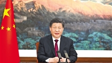 BOB�������ߡ�(�й�)����