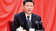 BOB�������ߡ�(�й�)����