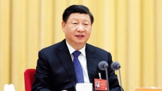 BOB�������ߡ�(�й�)����