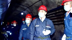 BOB�������ߡ�(�й�)����