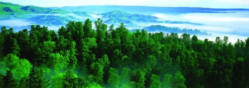 ΢��ͼƬ_20230409180936