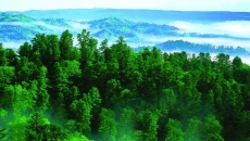 BOB�������ߡ�(�й�)����