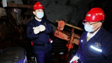 BOB�������ߡ�(�й�)����