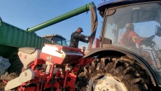 BOB�������ߡ�(�й�)����