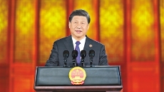 BOB�������ߡ�(�й�)����