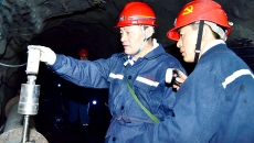 BOB�������ߡ�(�й�)����