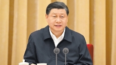 BOB�������ߡ�(�й�)����