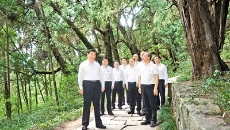 BOB�������ߡ�(�й�)����