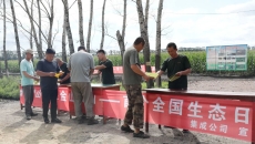 BOB�������ߡ�(�й�)����